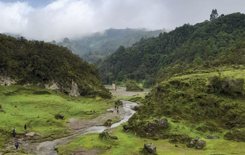 Watering Fertile Soil for Homegrown Ministry Insight for Living Canada